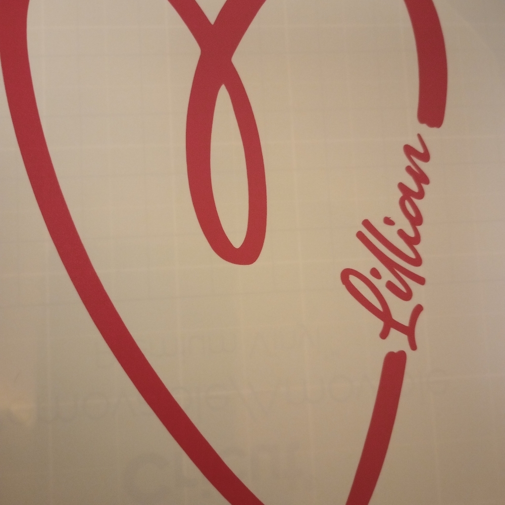 Car decals & etc. - Picture 7 of 9